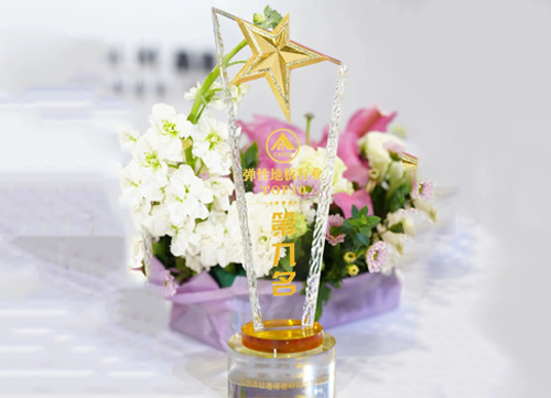 彈性地板行業(yè)第九名